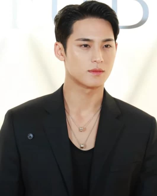 Mingyu (SEVENTEEN) wearing velvety pastel looks with cool-muted tones, showcasing heather gray, dusty mauve, mist blue, slate green, and antique silver from the Soft Summer palette.