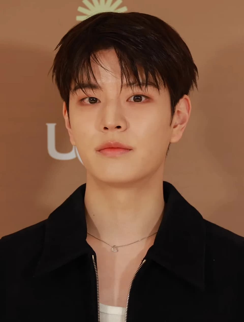 Seungmin (Stray Kids) wearing balanced jewel-toned looks with cool neutrals, showcasing steel blue, cranberry, optic white, graphite, and imperial purple from the Neutral Winter palette.