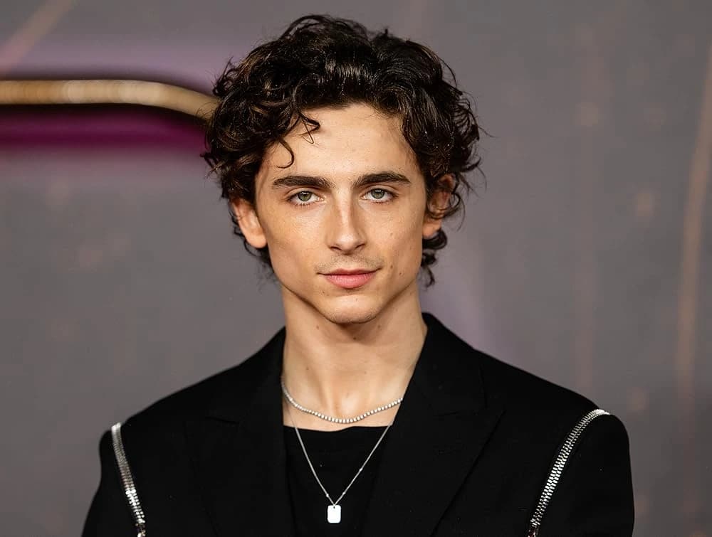 Timothée Chalamet wearing saturated autumn looks with molten metallics, showcasing burnt sienna, chartreuse, emerald, molten gold, and espresso from the Vibrant Autumn palette.