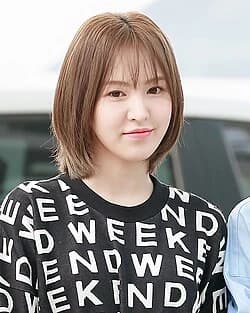 Editorial gallery of Wendy (Red Velvet) styled in neutral winter outfits highlighting sapphire, burgundy, and smoked grays, highlighting steel blue, cranberry, optic white, graphite, and imperial purple.
