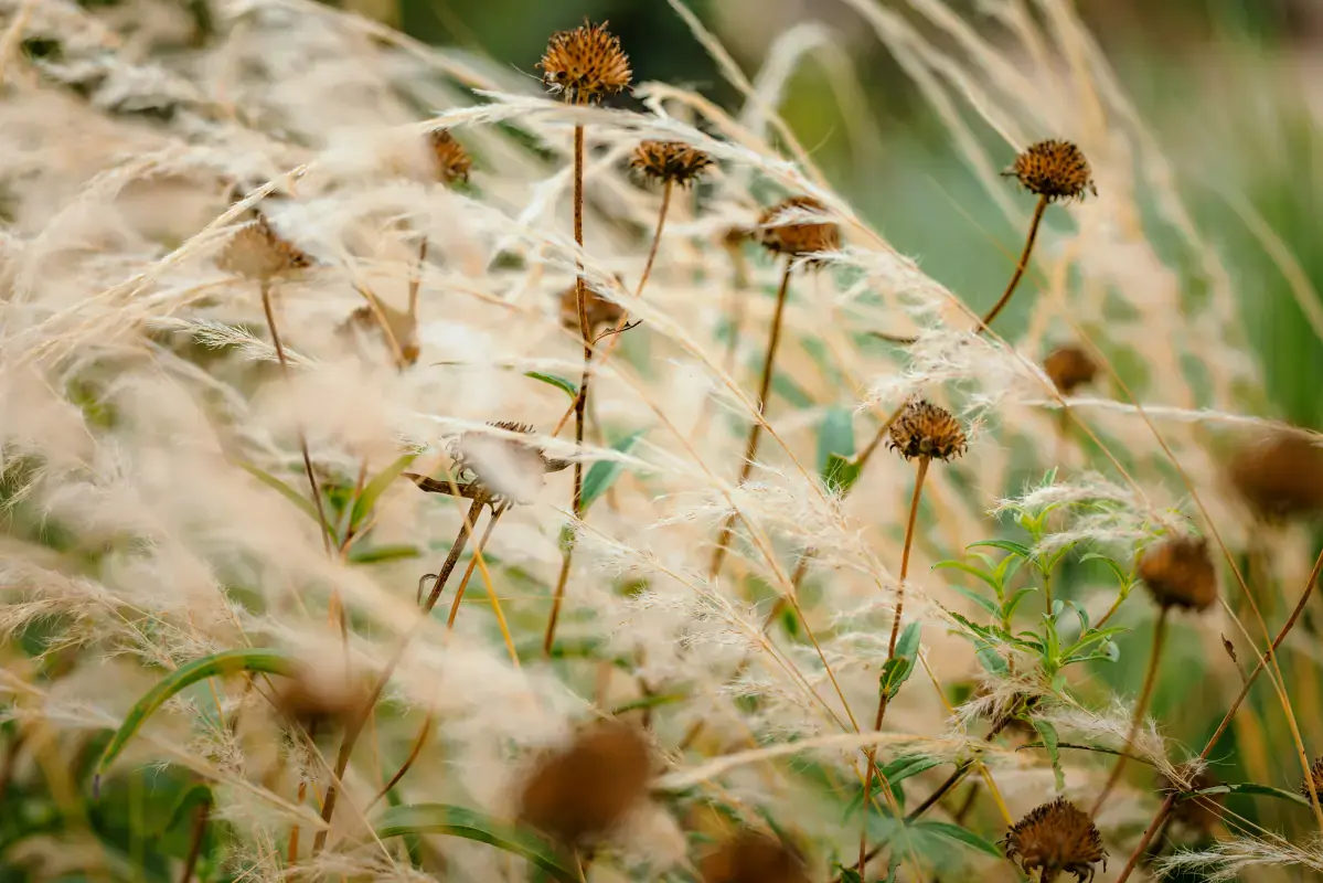 Soft summer wardrobe essentials: clothing in muted, cool tones for seasonal color analysis Soft summer wardrobe essentials: clothing in muted, cool tones for seasonal color analysis