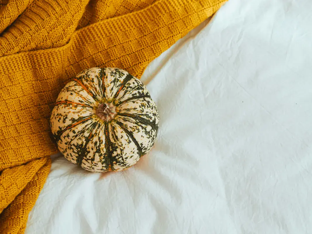 True autumn capsule wardrobe collection with coordinated rich earthy tones