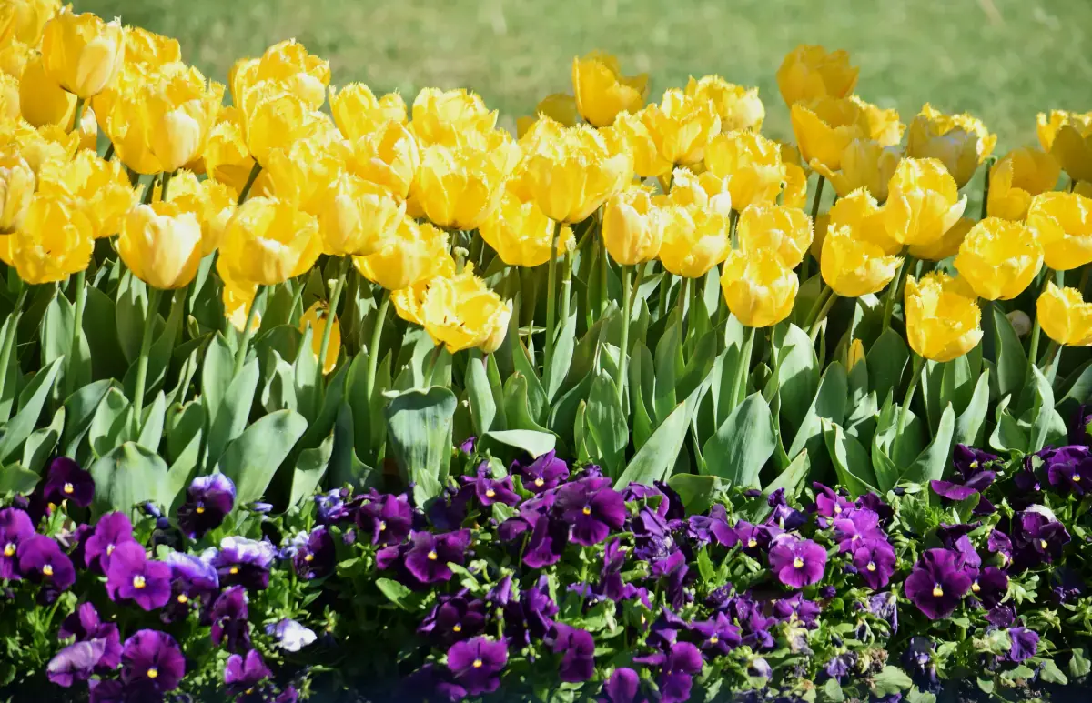 Armario cápsula para colorimetría primavera con prendas en colores cálidos y luminosos