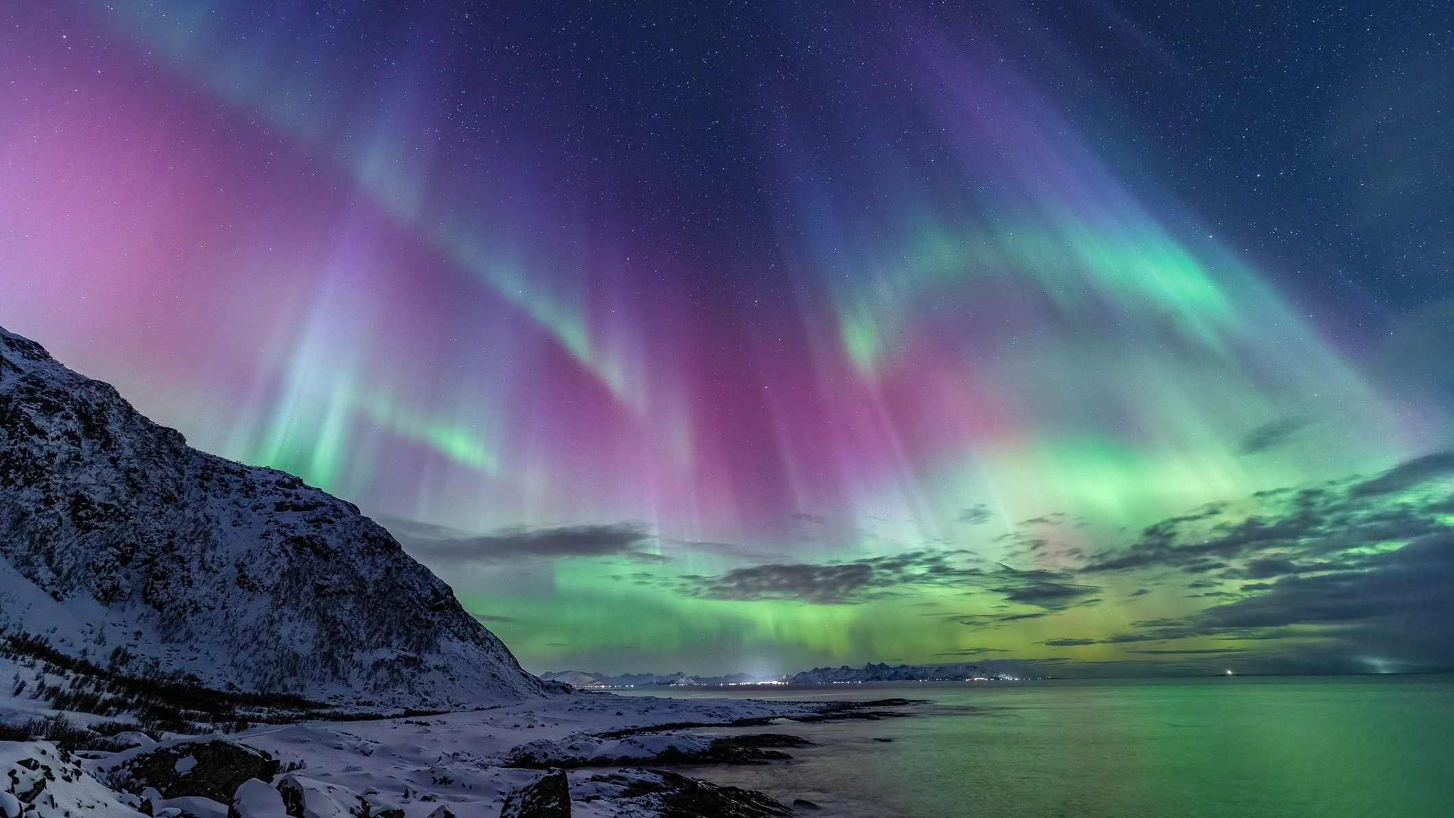AURORA color palette inspiration