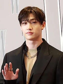 Bang Chan (Stray Kids) wearing balanced jewel-toned looks with cool neutrals, showcasing steel blue, cranberry, optic white, graphite, and imperial purple from the Neutral Winter palette.