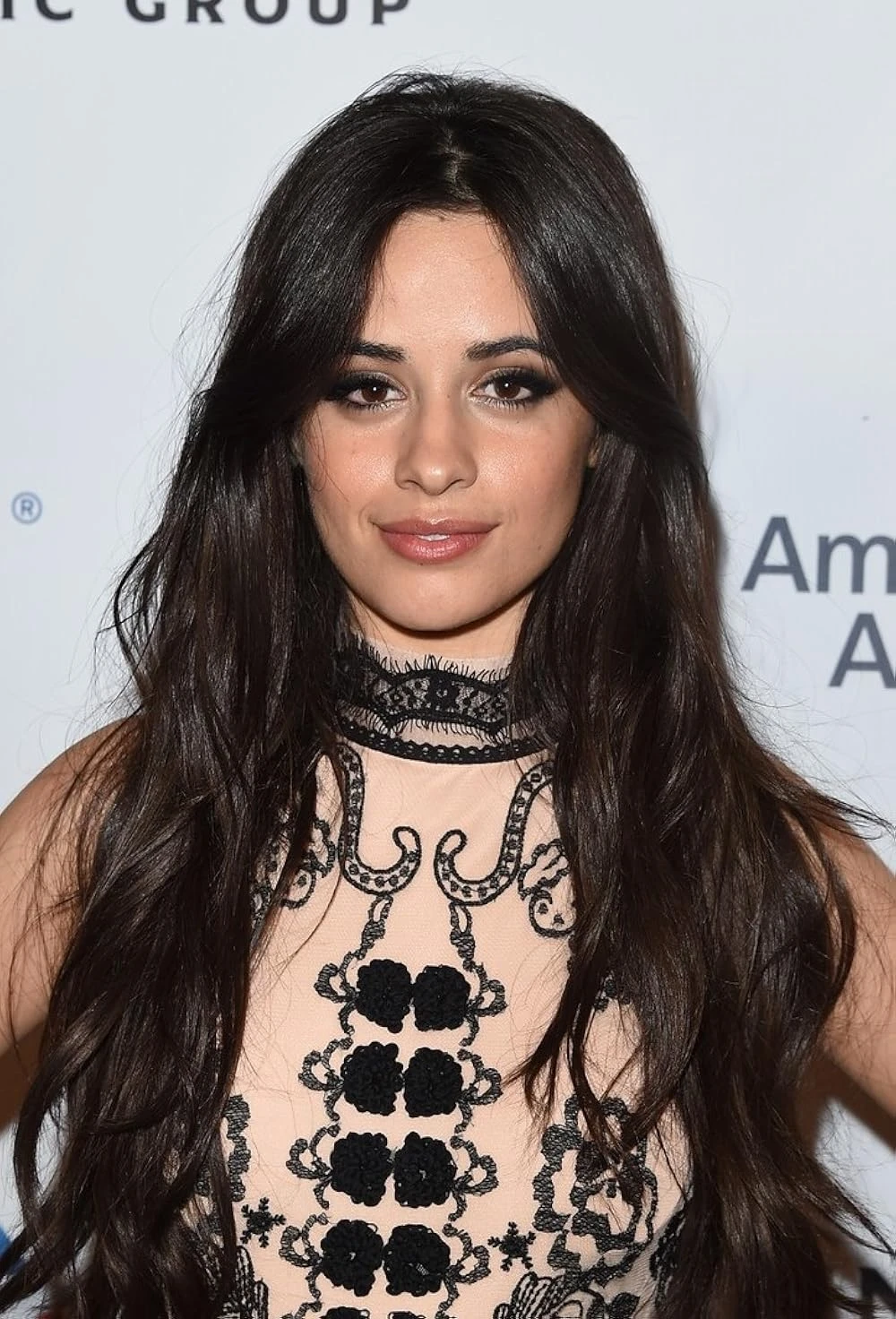 Camila Cabello color palette inspiration