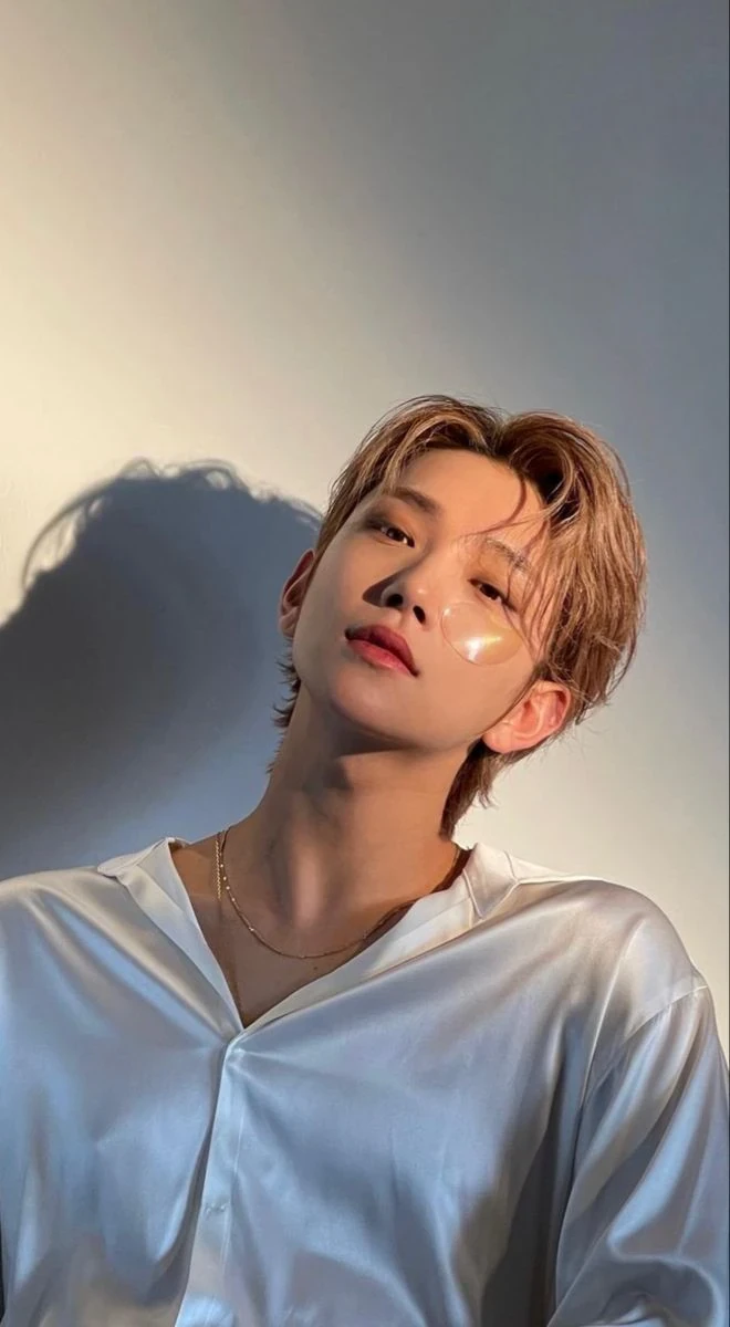 Joshua (SEVENTEEN) color palette inspiration