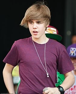 Justin Bieber color palette inspiration