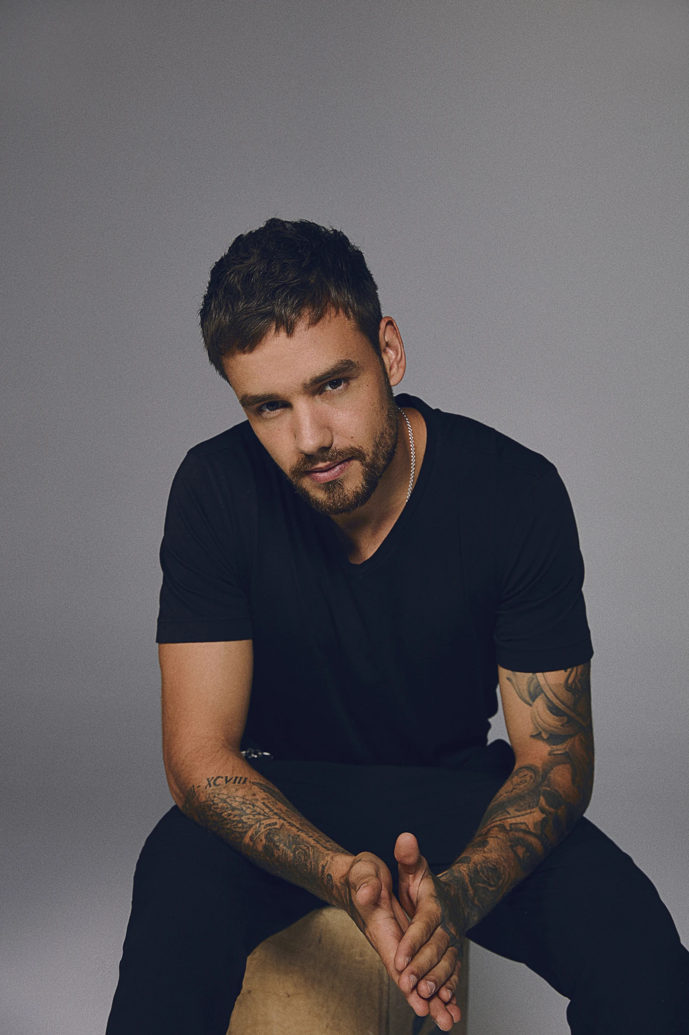 Liam Payne color palette inspiration