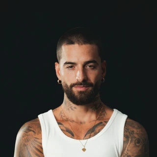 Maluma color palette inspiration