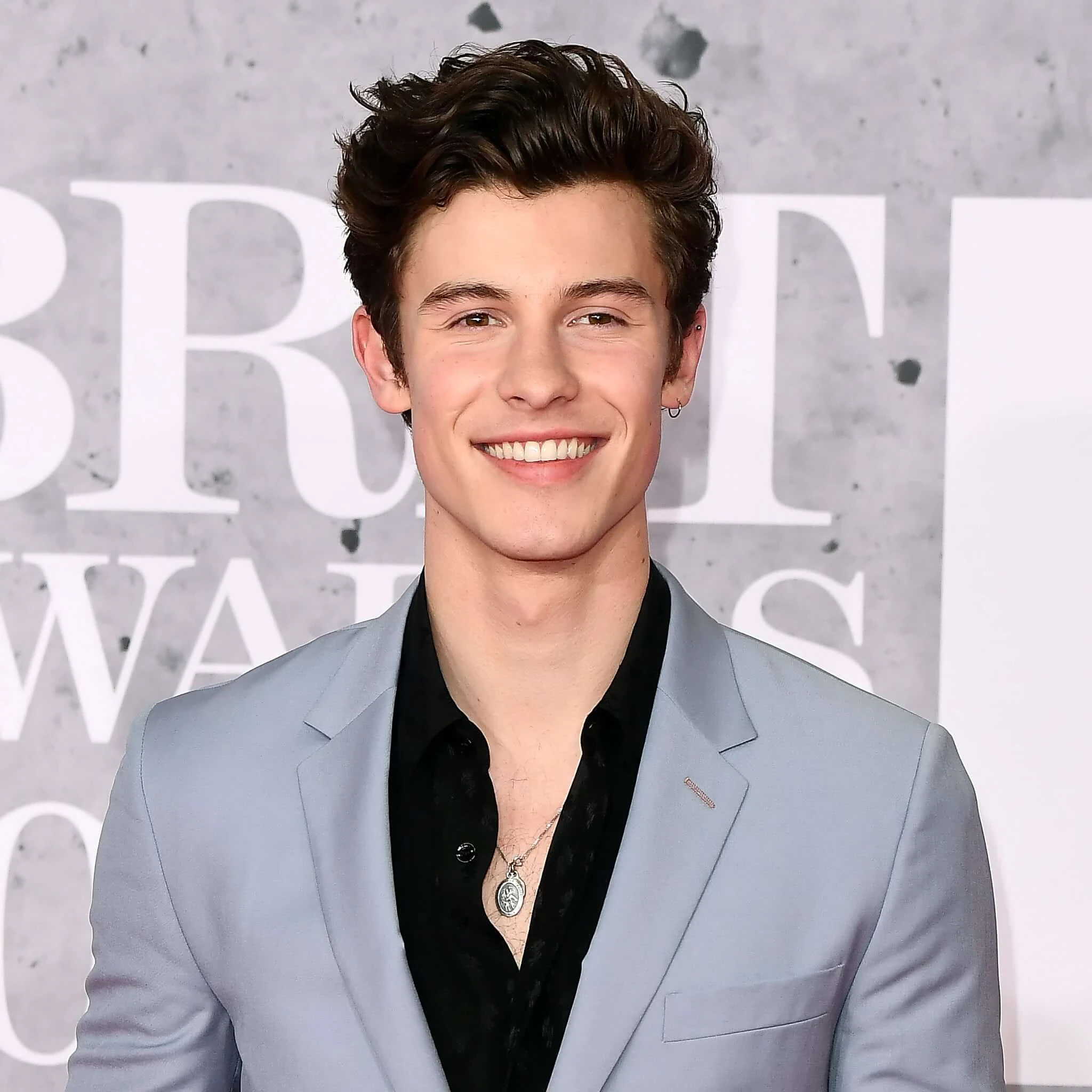 Shawn Mendes color palette inspiration