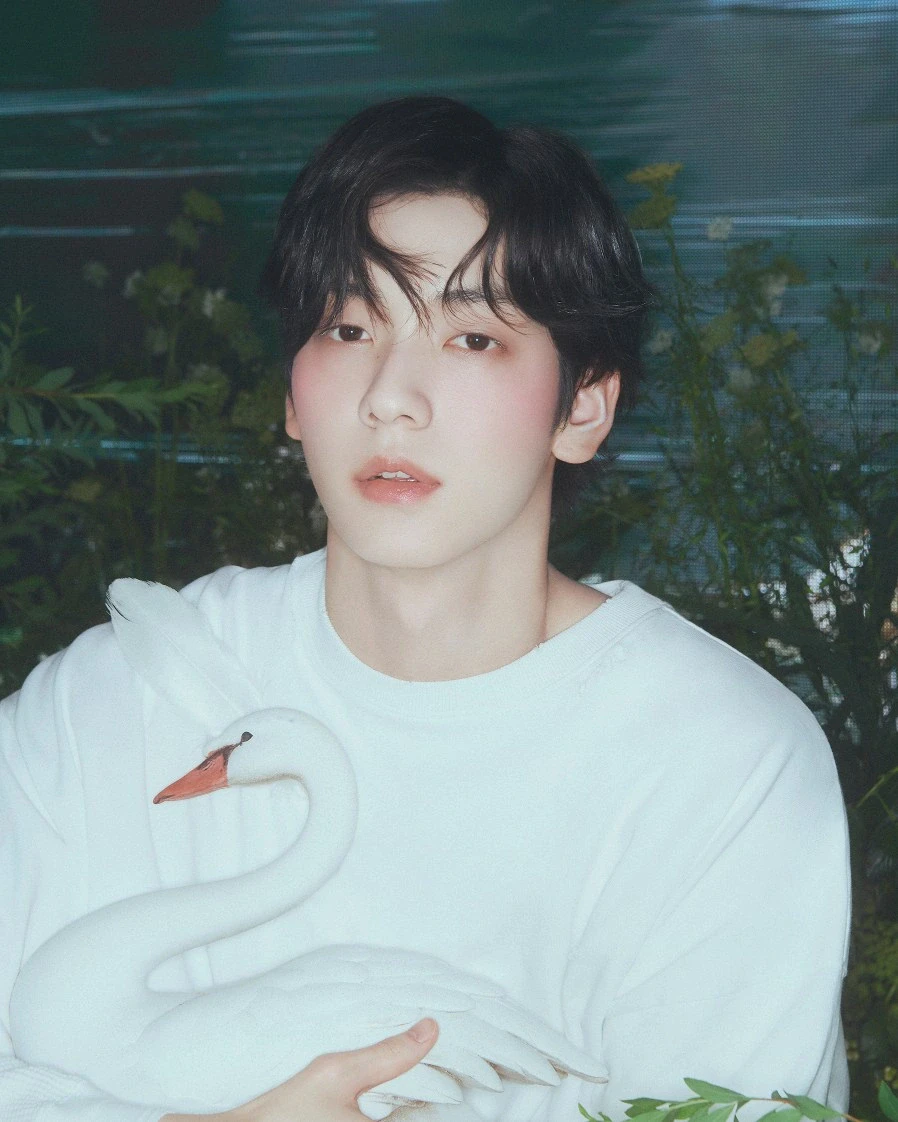 Soobin (TXT) color palette inspiration