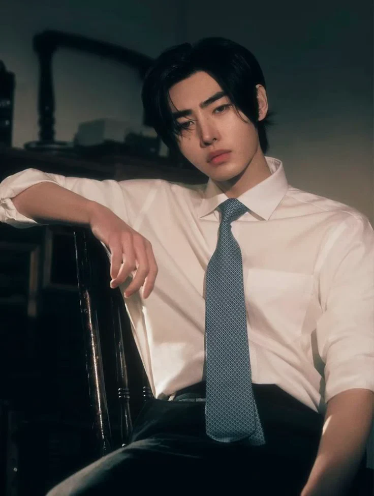 Sunghoon (ENHYPEN) color palette inspiration