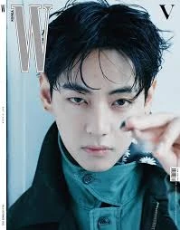 V (BTS) color palette inspiration