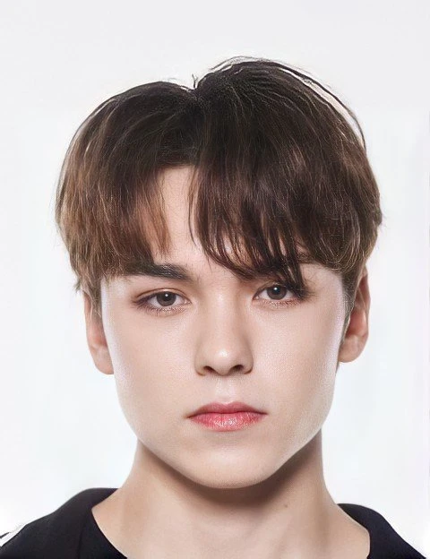 Vernon (SEVENTEEN) color palette inspiration
