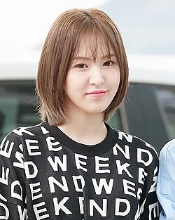 Wendy (Red Velvet) color palette inspiration