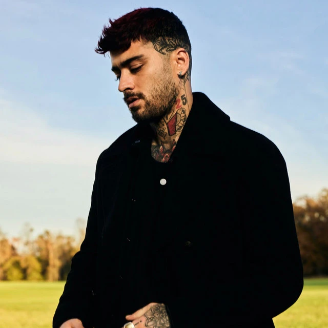 Zayn color palette inspiration